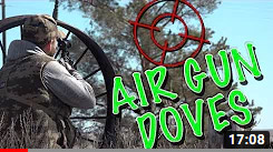 Air Gun Dove Hunt: Real Air Gun Hunting